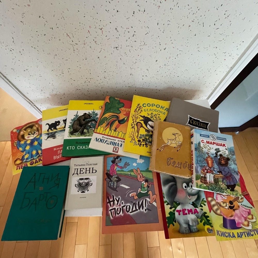 russian children’s book bundle
